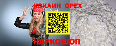 сатива Кандалакша