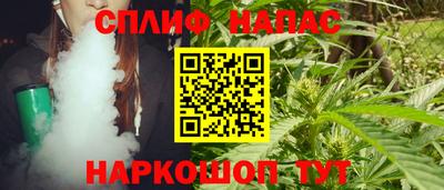 сатива Кандалакша