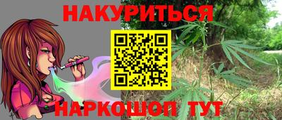 сатива Кандалакша