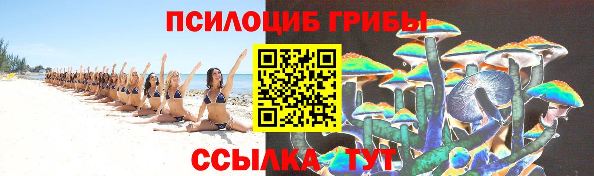 Галлюциногенные грибы Cubensis  закладки  Лесосибирск  Вход с VPN 